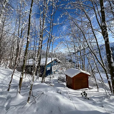 Platell Ferienhausverwaltung Tatil Evi Sankt Andreasberg